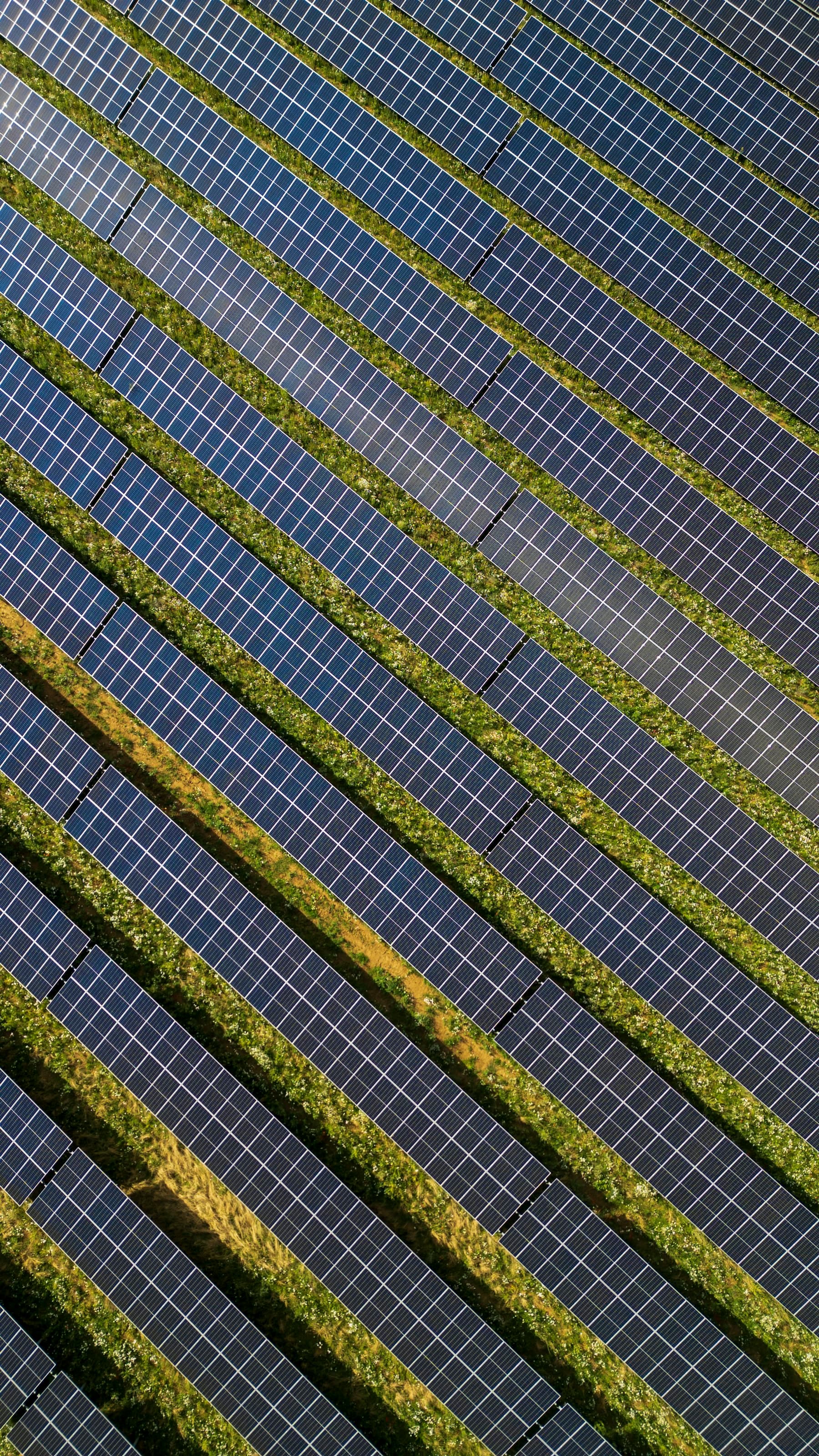 Rows of solar panels seen from above